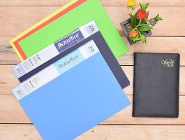 Bìa 20 lá A4 Flexoffice FO - DB01